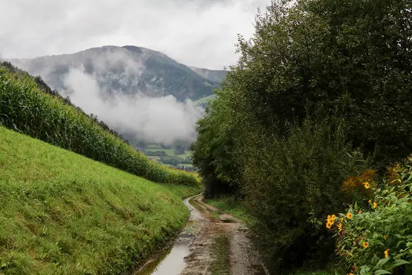 Yağmurdan sonra kırsal çamurlu toprak yol sisli bir dağ ve alçak asılı bulutlarla