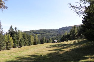Yeşil bir çayırla çevrili dağ manzarası. Uzakta bir ahşap kulübesi olan kozalaklı bir orman.