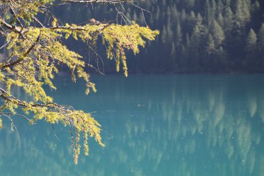 Etrafı dağlarla çevrili zümrüt göl ve kozalaklı orman berrak suya yansıyor.