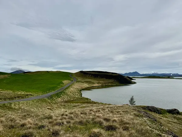 Skutustadir, İzlanda 'daki Myvatn Gölü' ndeki büyük bir sözde kraterin bulutlu bir günde panoramik resmi.