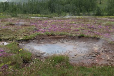Geysir, İzlanda 'daki volkanik manzara farklı hidrotermal kaynaklarda sıcak sudan buhar çıkıyor.