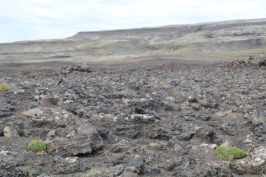 İzlanda dağlarında çorak ve engebeli bir arazide keskin volkanik kayalarla kaplı lav tarlası sadece çok seyrek bitki örtüsünü gösteriyor.