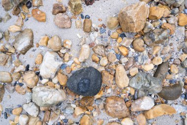 Karışık deniz çakılları. Nehir çakıl taşları arka planı.