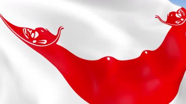 Paskalya Adası 'nın rüzgarda dalgalanan 4KHD bayrağı. 4K çözünürlüğünde son derece detaylı kumaş dokusuna sahip kusursuz döngü animasyonu.