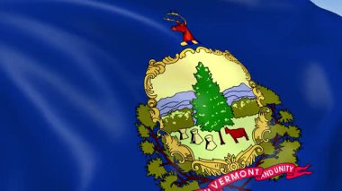 ABD 'nin Vermont eyaletinin 4KHD bayrağı rüzgarda sallanıyordu. 4K çözünürlüğünde son derece detaylı kumaş dokusuna sahip kusursuz döngü animasyonu.