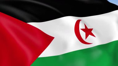 Sahra Arap Demokratik Cumhuriyeti 'nin 4KHD bayrağı rüzgarda sallanıyor. 4K çözünürlüğünde son derece detaylı kumaş dokusuna sahip kusursuz döngü animasyonu.