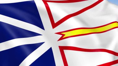 Newfoundland ve Labrador Eyaleti 'nin 4KHD bayrağı rüzgarda sallanıyor. 4K çözünürlüğünde son derece detaylı kumaş dokusuna sahip kusursuz döngü animasyonu.