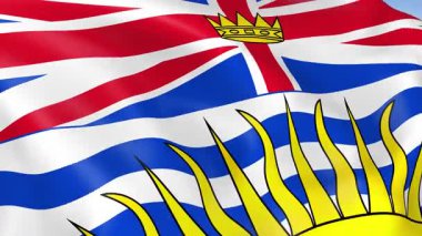 Britanya Kolombiya Eyaleti 'nin 4KHD bayrağı rüzgarda sallanıyor. 4K çözünürlüğünde son derece detaylı kumaş dokusuna sahip kusursuz döngü animasyonu.