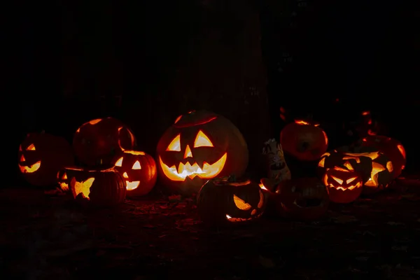 Halloween Scen Massor Orange Glödande Pumpor Mörkret — Stockfoto