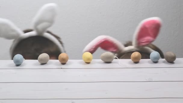 父親とウサギの耳を持つ息子はイースターの装飾が施された木製のテーブルの下に隠れています イースター休暇 — ストック動画