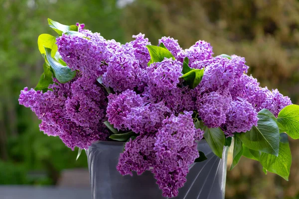 Big Bouquet Lilacs Rustic Style High Quality Photo — Stock Photo, Image