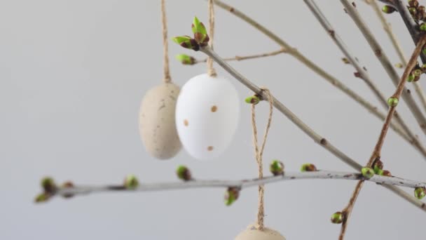 在树枝上的复活节彩蛋 高质量的4K镜头 — 图库视频影像