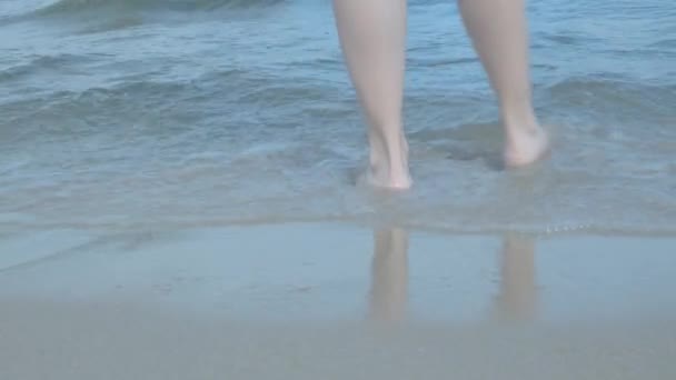 Kobiece Nogi Spacerujące Falach Wodnych Wysokiej Jakości Materiał — Wideo stockowe