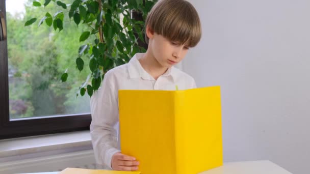 Školák Čte Knížku Chlapec Čte Knihu Vysoce Kvalitní Záběry — Stock video
