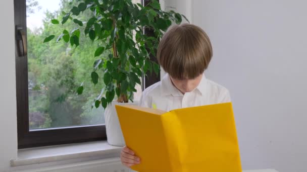 Хлопчик Школяр Читає Книжку Шкільний Старт Перший Клас Високоякісні Кадри — стокове відео