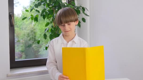 Schoolboy Boy Reading Book School Start First Grade High Quality — Stock Video