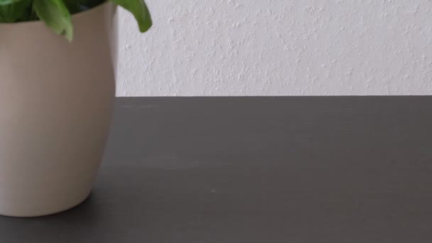 Restovaná Červená Paprika Bylinkami Vysoce Kvalitní Fullhd Záběry — Stock video