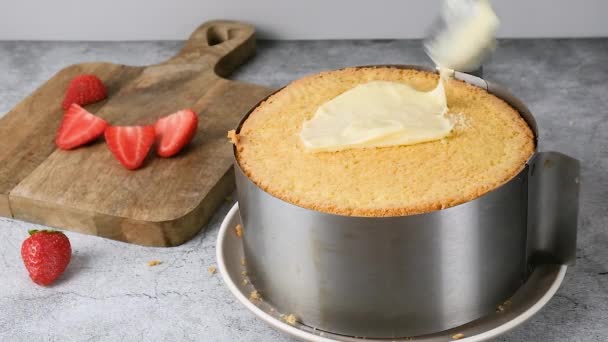 白い背景にイチゴケーキを作るペストリーシェフ 高品質のフルHd映像 — ストック動画
