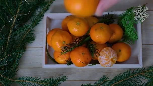Christmas Holiday Womans Hand Holding Tangerines High Quality Fullhd Footage — Stock Video