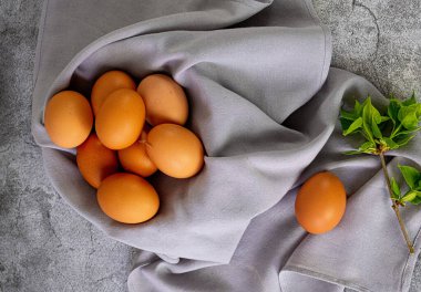 Gri peçeteye kahverengi yumurta. Yüksek kalite fotoğraf