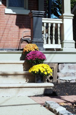 Merdivenler ve basamaklar bir binaya girmek için çok farklı şekillerde inşa edilir..