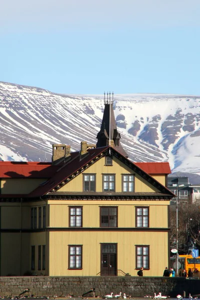 Les Bâtiments Les Couleurs Reykjavik Islande Tant Voir Dans Cette — Photo