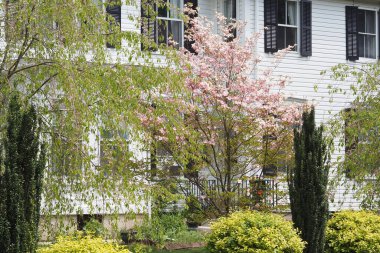 Satılık bir sürü renkli şey sergileniyor. Burası çiçek ve açık hava aksesuarları olan bahçe merkezi..