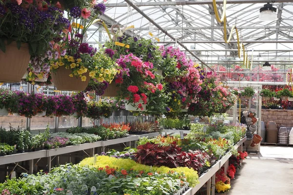 Satılık bir sürü renkli şey sergileniyor. Burası çiçek ve açık hava aksesuarları olan bahçe merkezi..