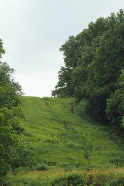 Tyler State Park doğa aşığına mümkün olan tüm aktiviteleri içeren bir açık hava macerası sunar..