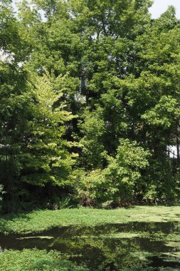 Delaware nehri boyunca PA 'da küçük bir kasaba.. 