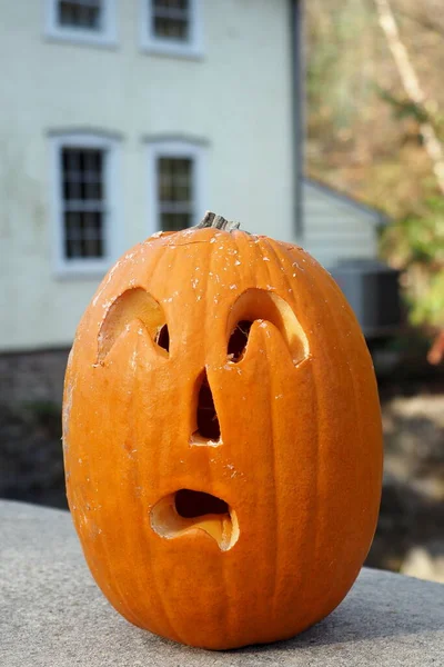 Dýně Všech Barev Jsou Součástí Halloweenské Oslavy Podzim — Stock fotografie
