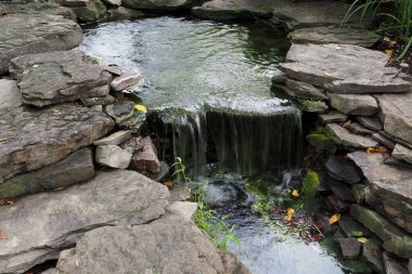 Yeni Umut, PA turistlerin ilgisini çeken bir kasaba olarak bilinir. Sık sık gidilecek bir sürü dükkan ve restoran var. Ayrıca görülecek çok farklı yerler de var..