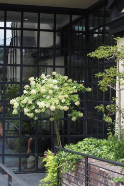 New Hope 'da bir öğleden sonra, PA. Bu turistte görülecek ve yapılacak çok şey var. Dükkanlar, restoranlar ve Delaware Nehri var..