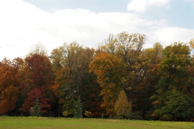 Bucks County 'deki Endülüs Malikanesi' nde bir sonbahar öğleden sonrası..