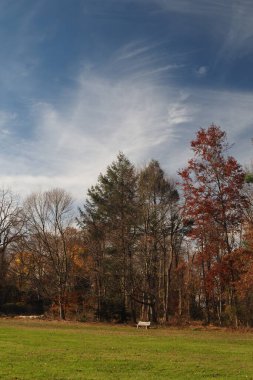 Sonbahar mevsiminde parlak ve canlı renkler görürüz..