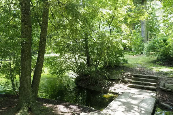 Burası Philadelphia 'daki Chestnut Hill' in manzaralı ve antika mahallesi. - PA. Burada görülecek ve yapılacak çok şey var..