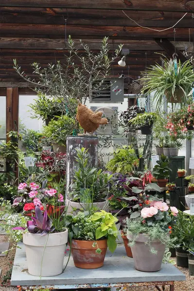 Burası Philadelphia 'daki Chestnut Hill' in manzaralı ve antika mahallesi. - PA. Burada görülecek ve yapılacak çok şey var..