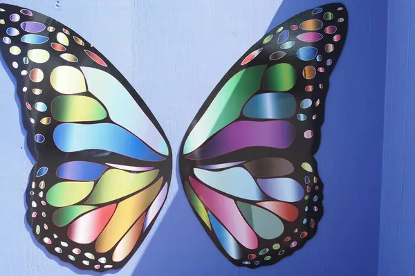 Bahçe merkezinde çok renkli şeyler var: bitkiler, çiçekler, çömlekler. Ve başka bahçeler..