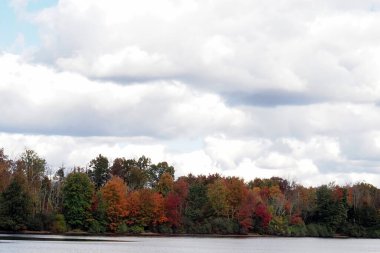 Pennsylvania 'daki Nockamixon Eyalet Parkı' nın manzarası sonbahar mevsiminde çok güzeldir..