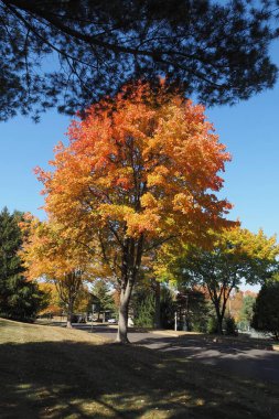 This is a great time of year. The fall colors are changing and we seem to be at the peak of the season.