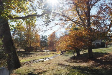 Sonbahar renkleri Pipersville 'de (Bucks County) zirvede, PA.