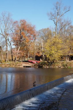 Bir sonbahar öğleden sonrası, Newtown 'daki Tyler State Park' ın manzarasını izliyordum..