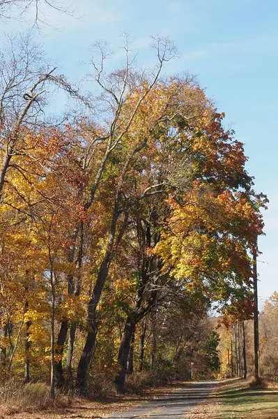 Pennsylvania, Montgomery 'deki Horsham Park' taki Graeme Park 'tan sonbahar renkleri.