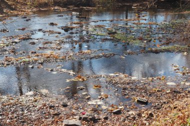 Philadelphia 'nın kuzey ve doğusunda yer alan Bucks County, Pennsylvania' nın parklarında sonbahar renkleri sergileniyor.,