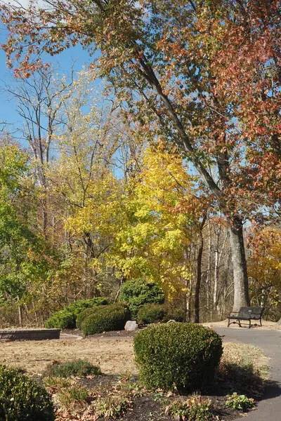 Philadelphia 'nın kuzey ve doğusunda yer alan Bucks County, Pennsylvania' nın parklarında sonbahar renkleri sergileniyor.,