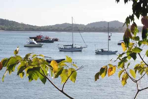 Panama 'yı gezmek ve gezmek. Panama CCnal 'da tekne gezintisine çıkıyorum..