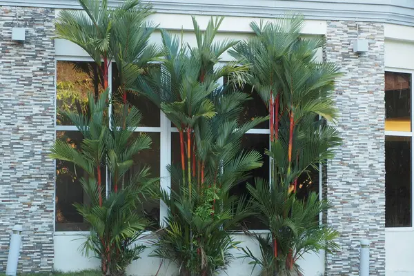 Panama 'yı gezmek ve gezmek. Panama CCnal 'da tekne gezintisine çıkıyorum..