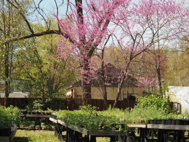 Ağaçların, çiçeklerin ve bölgenin doğayla dolu olduğu doğa merkezi..