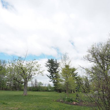 Dublin 'deki Pears S Buck Vakfı' nın binaları ve zemininde Çin 'de çok fazla zaman geçiren bir insancıldı..