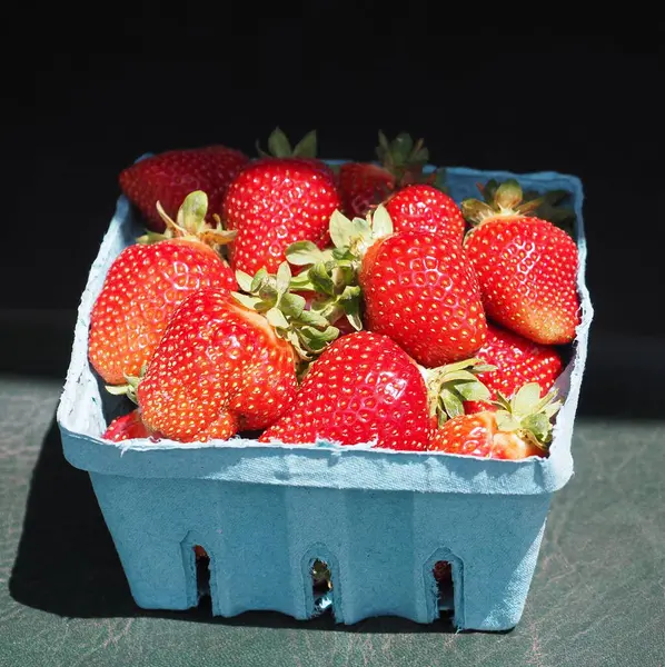 Bir kutuda taze çilek toplandı.. 